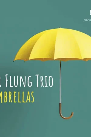 Umbrellas Flash Sale