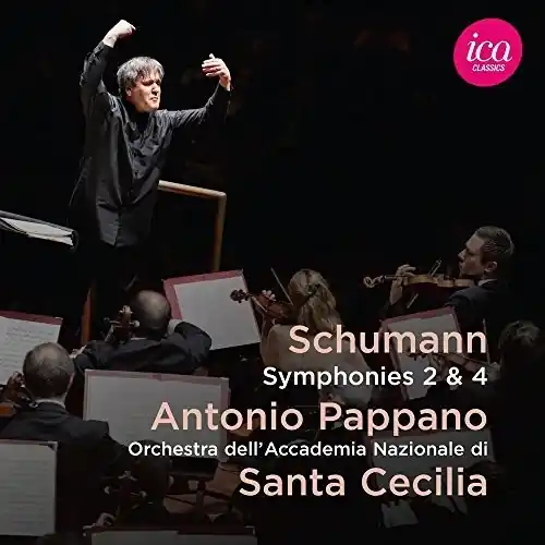 Factory Price Schumann: Symphonies 2 & 4