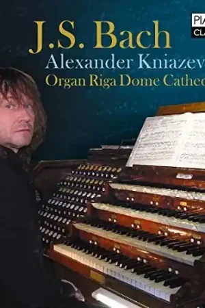 Organ Works Wholesale
