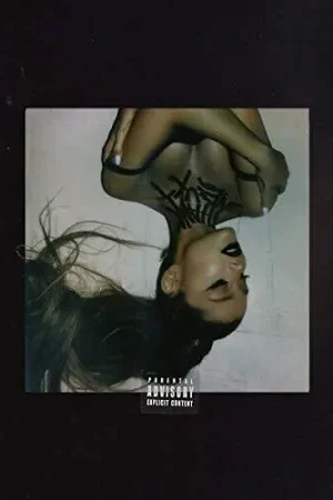 Fan Favorite Thank U Next [2 LP]
