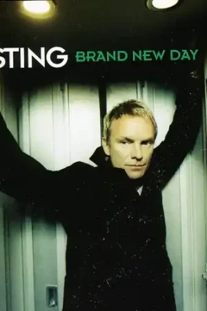 Brand New Day [Import] Don’t Miss Out