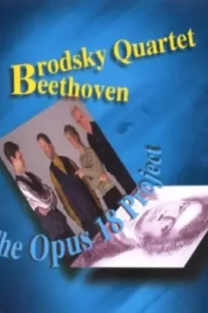 Free Shipping Opus 18 Project