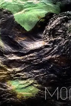 Poison Stream New Release
