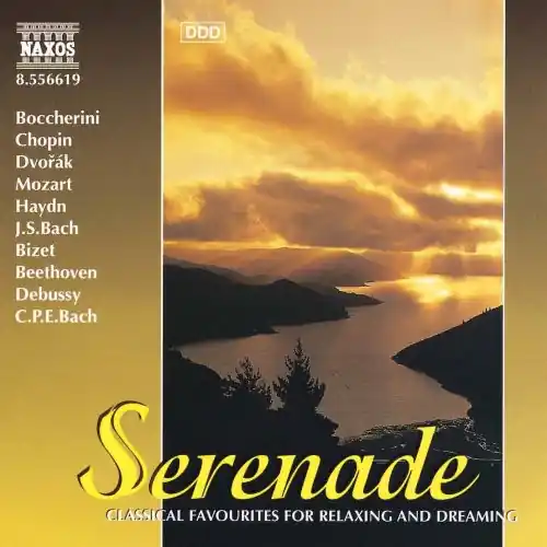 Night Music 19: Serenade / Various Best Choice