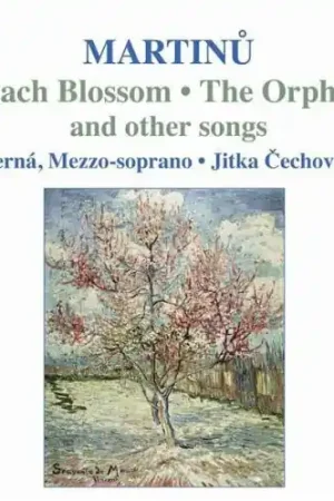 Premium Peach Blossom / Orphan