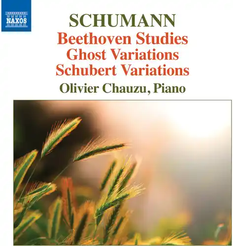 Grab Now Beethoven Studies Ghost Variations & Schubert Variations
