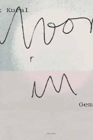 Reduced Price Moon In Gemini