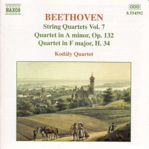 Qt Str-Vol. 7 Affordable