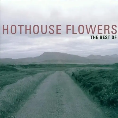 Best Of Hothouse Flowers Free Returns