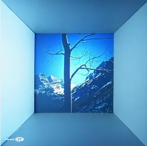 Bulk Order Big Beautiful Sky