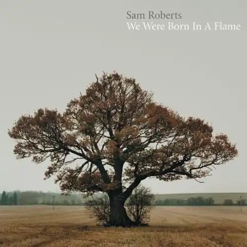 Order Now We Were Born In A Flame