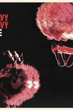 Heavy Heavy - Live (LP) Save Now
