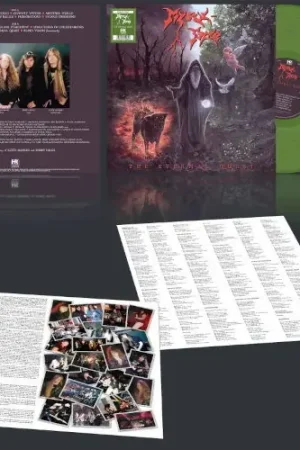 Mystic-Force - The Eternal Quest (LP) Next Day Delivery