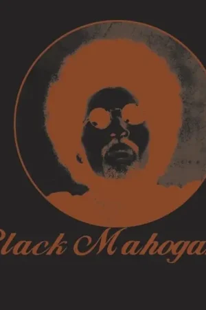 Moodymann - Black Mahogani (3 LPs) Buy Online