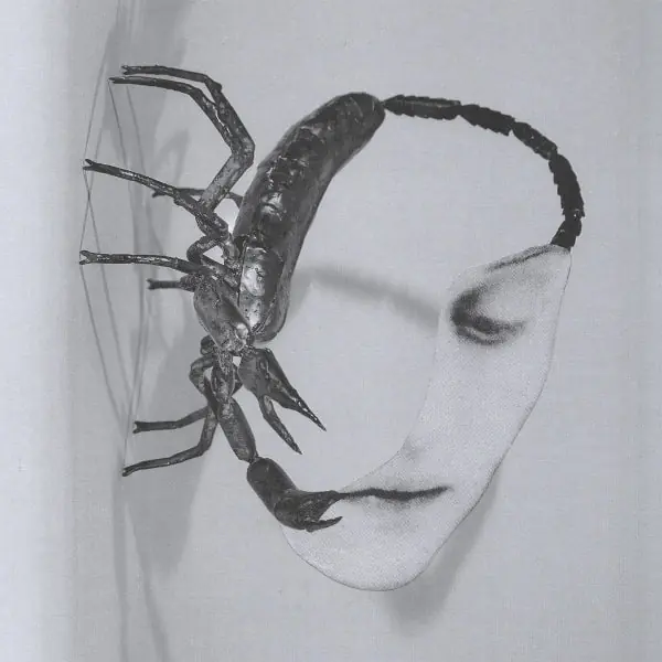Money Back Guarantee Tortoise - Touch (LP)