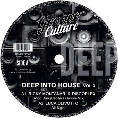 Wholesale Ricky & Discoplex & Gianni Bini & Luca Olivotto Montanari - Deep Into House Vol. 3 (Single)