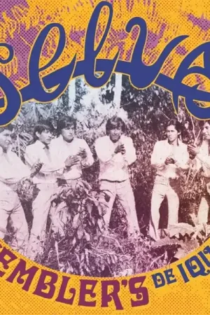Los Wembler's De Iquitos - Selva (LP) High Quality