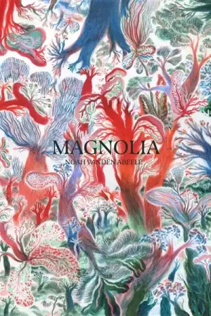 Handmade Noah Vanden Abeele - Magnolia (LP)