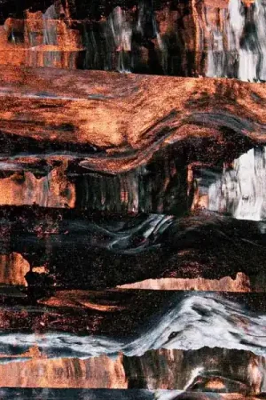 Sale Barrens - Corpse Lights (LP)