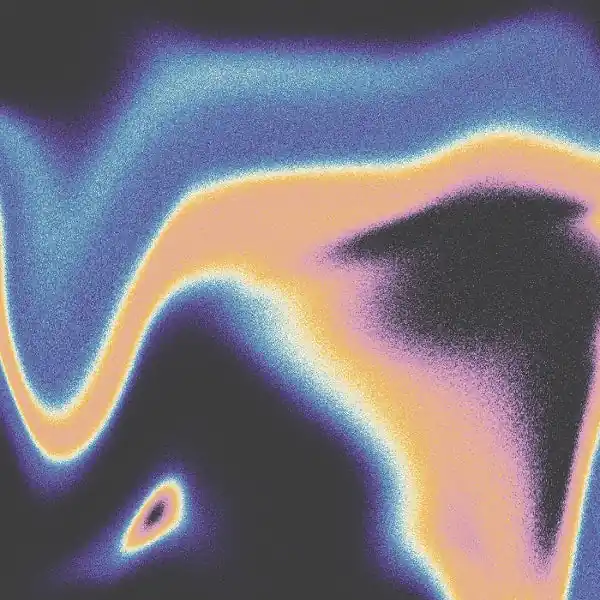 Jamie & Luke Schneider Lidell - A Companion For the Spaces Between Dreams (LP) Warranty Included