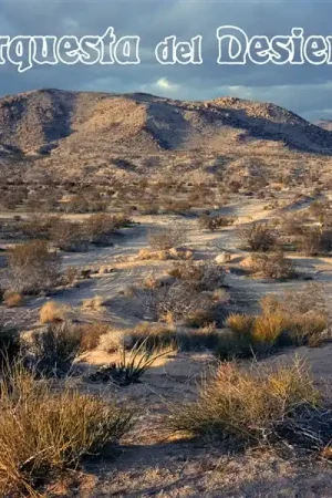 Time-Limited Orquesta Del Desierto - Orquesta Del Desierto (LP)