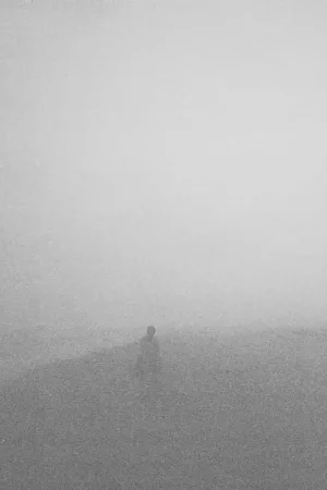 Fast Shipping Jon Porras - Achlys (LP)