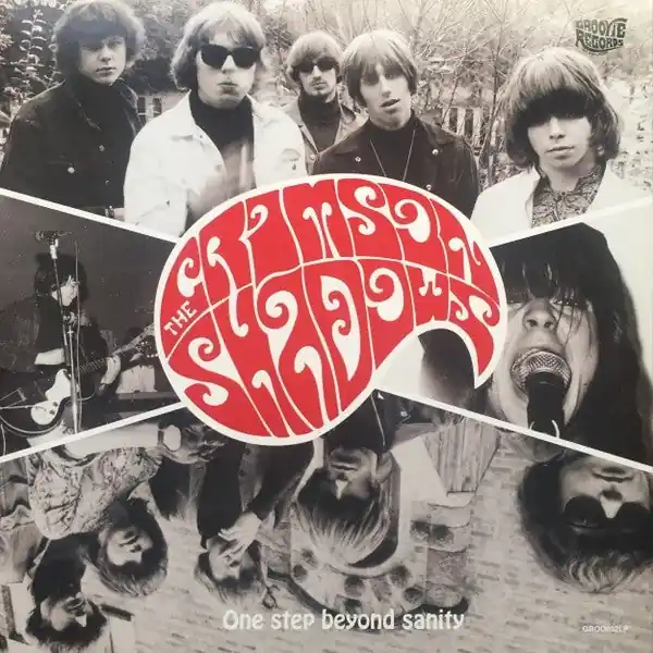Holiday Sale Crimson Shadows - One Step Beyond Sanity (LP)
