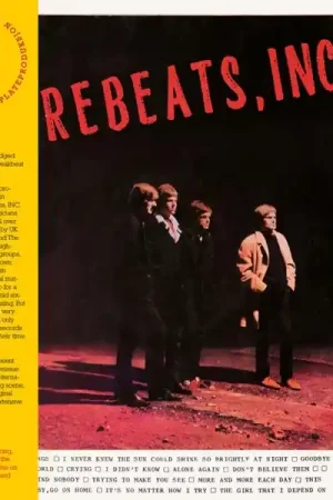 Buy Direct Firebeats Inc. - Firebeats, Inc. (LP)