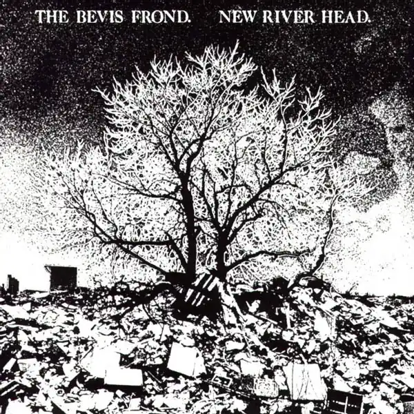 Budget Bevis Frond - New River Head (2 LPs)