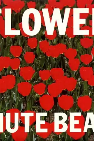 Hassle-Free Returns Mute Beat - Flower (LP)