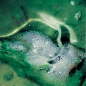 Tristan Arp - A Pool. a Portal (LP) Crafted