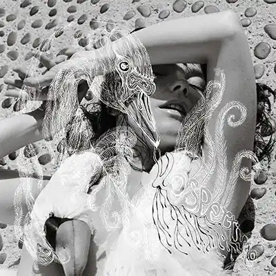Bulk Order Bjork - Vespertine (2 LPs)