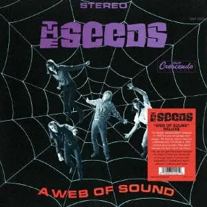 Final Sale Seeds - A Web of Sound (2 LPs)