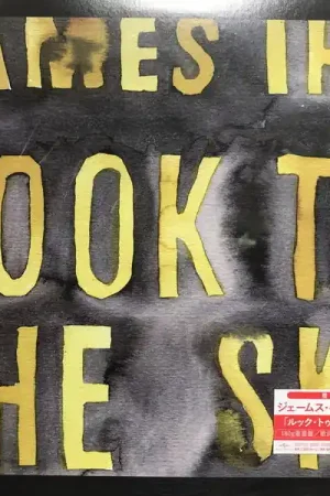 Exclusive Offer James Iha - Look To the Sky (LP)