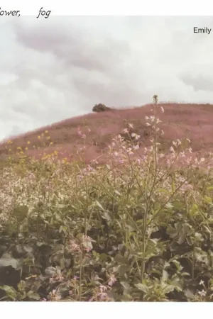 Get Yours Emily A. Sprague - Hill, Flower, Fog (LP)