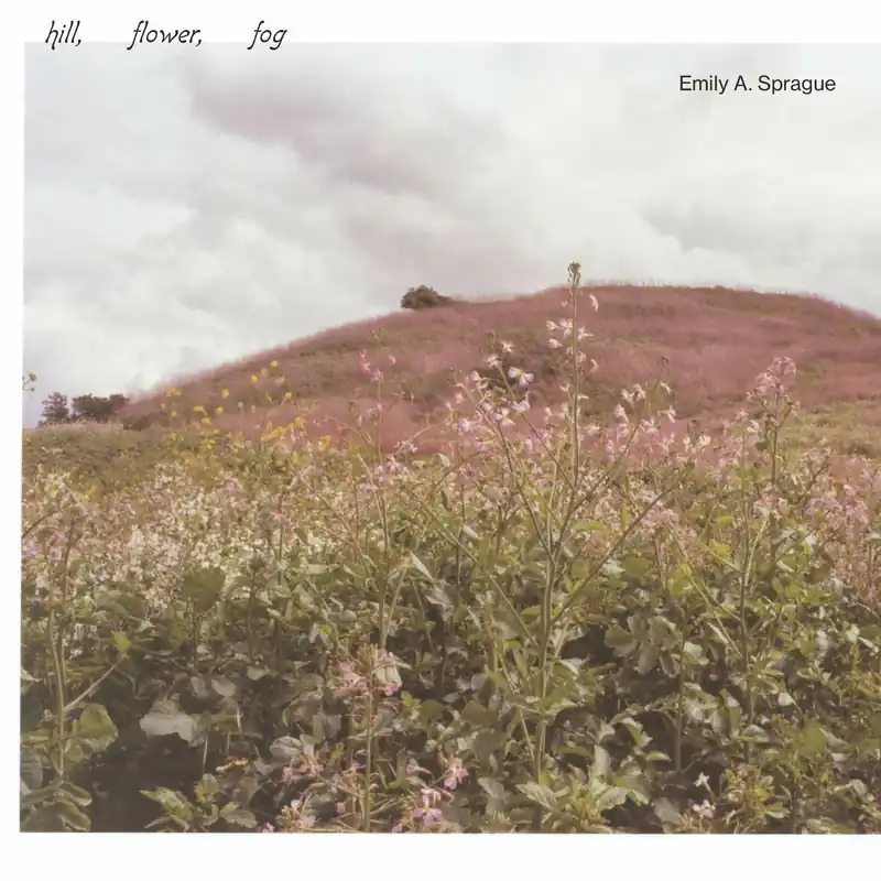 Get Yours Emily A. Sprague - Hill, Flower, Fog (LP)