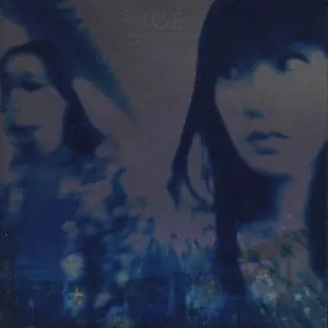 Ice - Midnight Skyway (LP) Authentic