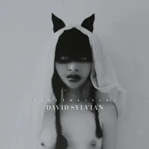 Place Order David Sylvian - Sleepwalkers (2 LPs)