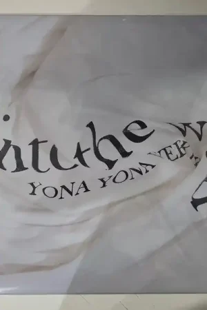 Direct From Factory Yona Yona Weekenders - Into the Window (LP)