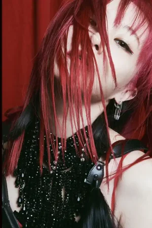 Fan Favorite Lisa - Ladybug (LP)