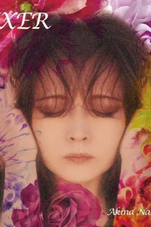 Markdown Akina Nakamori - Fixer (2 LPs)