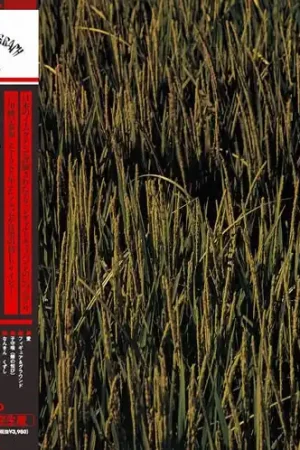 Authentic Noidunzuri - Houyou (LP)