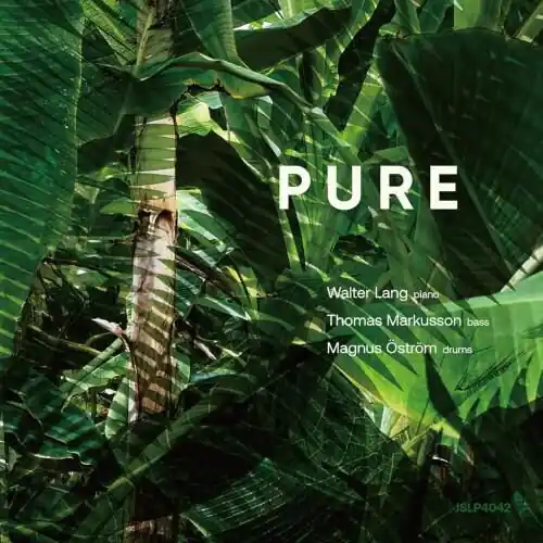 Next Day Delivery Walter Lang Trio - Pure (LP)