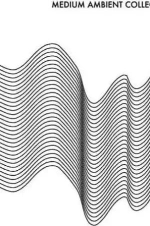 V/A - Medium Ambient Collection 2022 (2 LPs) Modern