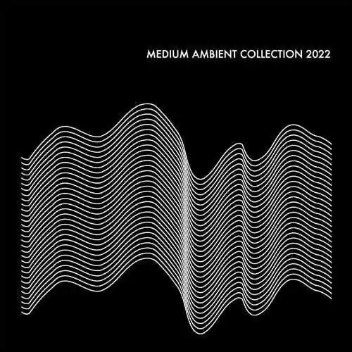Sale V/A - Medium Ambient Collection 2022 (2 LPs)