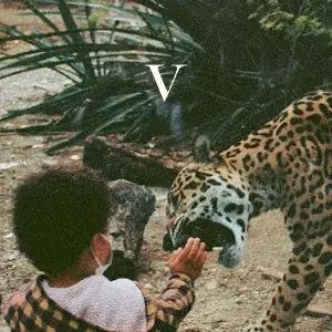 Grab Now Unknown Mortal Orchestra - V (2 LPs)