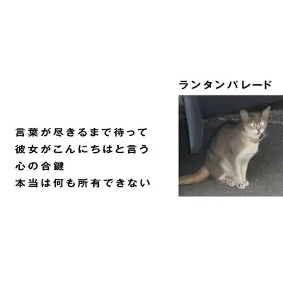Lantern Parade - Kotobagatsukirumadematte (Single) Editor’s Pick