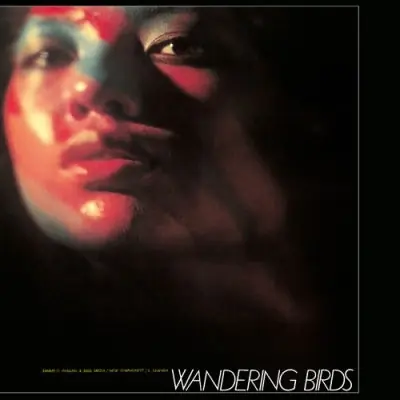Jiro & Soul Media Inagaki - Wandering Birds (LP) Final Sale