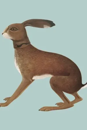 Vashti Bunyan - Lookaftering (2 LPs) Top Rated