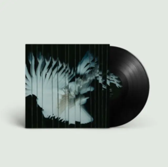 Place Order Scaler - Endlessly (LP)